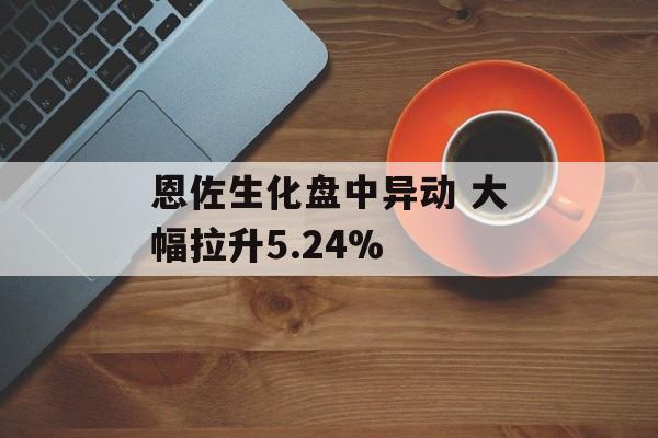 恩佐生化盘中异动 大幅拉升5.24%