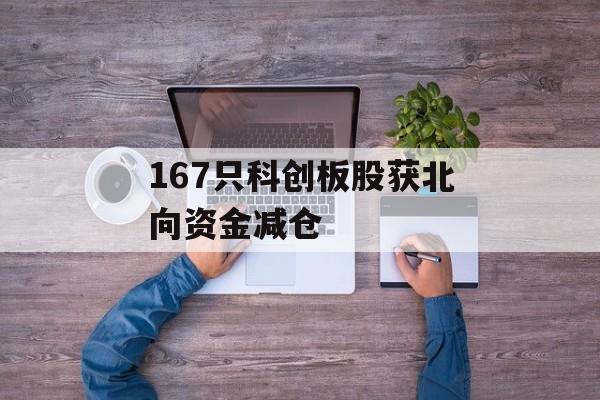 167只科创板股获北向资金减仓