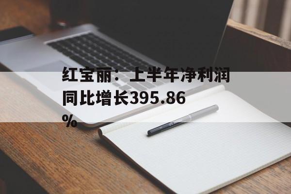 红宝丽：上半年净利润同比增长395.86%