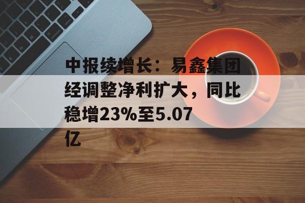 中报续增长：易鑫集团经调整净利扩大，同比稳增23%至5.07亿