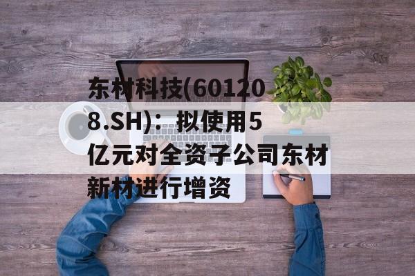 东材科技(601208.SH)：拟使用5亿元对全资子公司东材新材进行增资