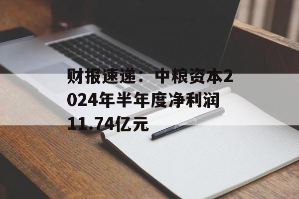 财报速递：中粮资本2024年半年度净利润11.74亿元