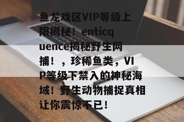 鱼龙戏区VIP等级上限揭秘！enticquence揭秘野生网捕！，珍稀鱼类，VIP等级下禁入的神秘海域！野生动物捕捉真相让你震惊不已！