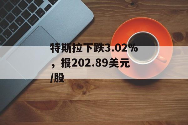 特斯拉下跌3.02%，报202.89美元/股