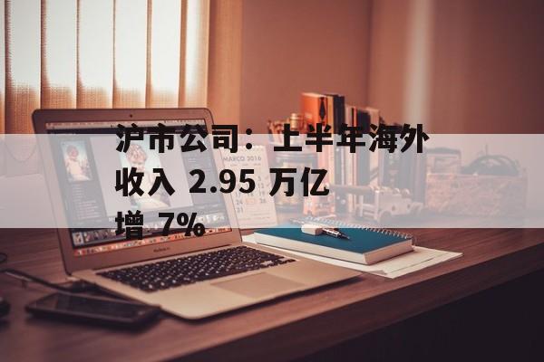 沪市公司：上半年海外收入 2.95 万亿增 7%