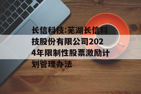 长信科技:芜湖长信科技股份有限公司2024年限制性股票激励计划管理办法