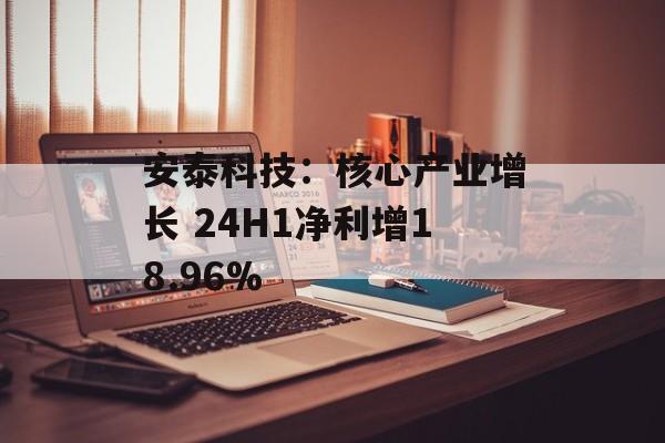 安泰科技：核心产业增长 24H1净利增18.96%