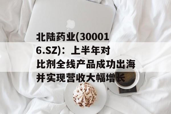 北陆药业(300016.SZ)：上半年对比剂全线产品成功出海并实现营收大幅增长