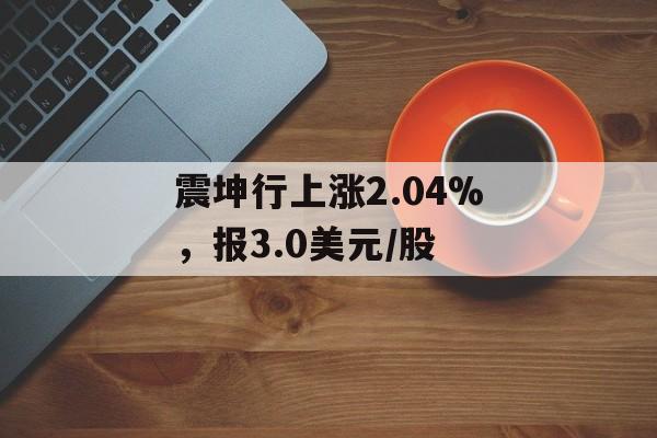 震坤行上涨2.04%，报3.0美元/股