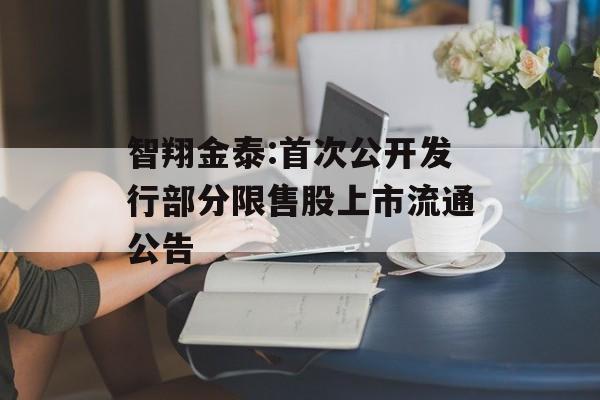 智翔金泰:首次公开发行部分限售股上市流通公告