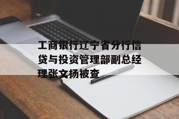 工商银行辽宁省分行信贷与投资管理部副总经理张文扬被查