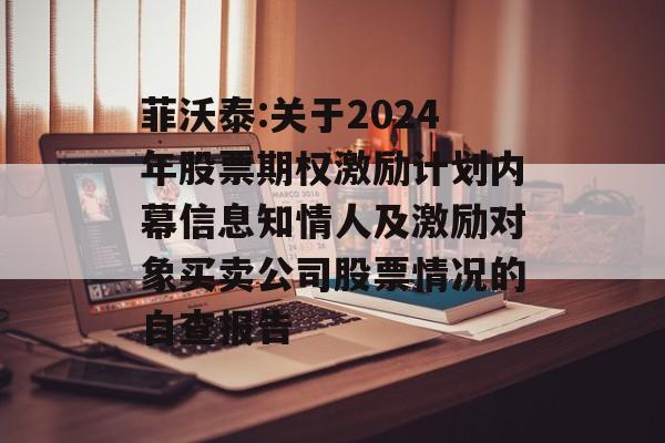 菲沃泰:关于2024年股票期权激励计划内幕信息知情人及激励对象买卖公司股票情况的自查报告