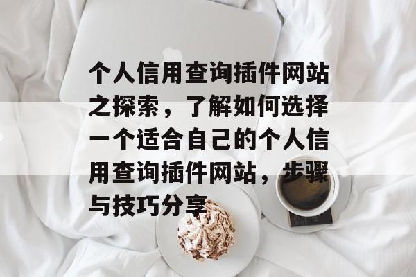 个人信用查询插件网站之探索，了解如何选择一个适合自己的个人信用查询插件网站，步骤与技巧分享