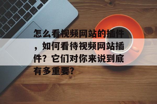 怎么看视频网站的插件，如何看待视频网站插件？它们对你来说到底有多重要？