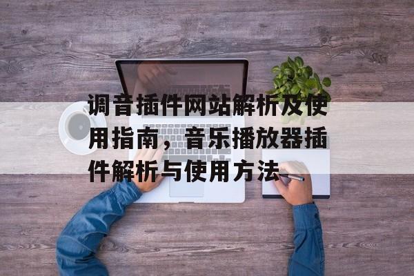 调音插件网站解析及使用指南，音乐播放器插件解析与使用方法