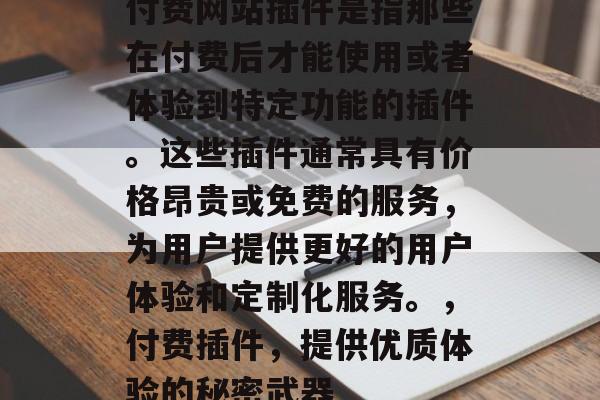 付费网站插件是指那些在付费后才能使用或者体验到特定功能的插件。这些插件通常具有价格昂贵或免费的服务，为用户提供更好的用户体验和定制化服务。，付费插件，提供优质体验的秘密武器