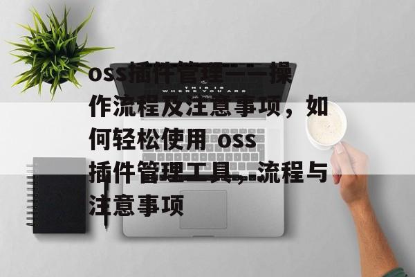 oss插件管理——操作流程及注意事项，如何轻松使用 oss 插件管理工具，流程与注意事项