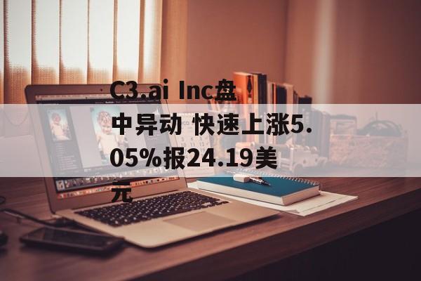 C3.ai Inc盘中异动 快速上涨5.05%报24.19美元