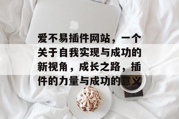 爱不易插件网站，一个关于自我实现与成功的新视角，成长之路，插件的力量与成功的意义