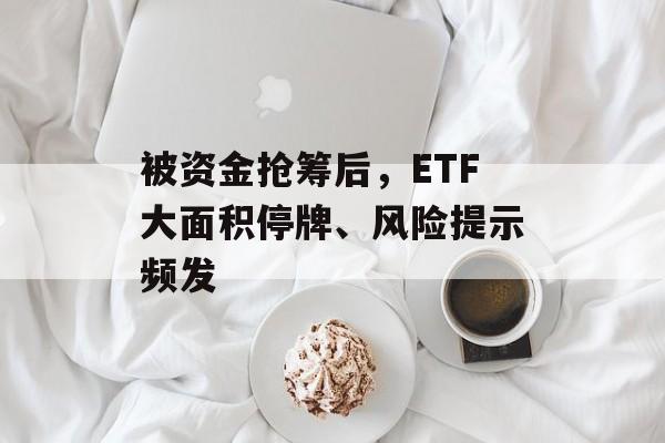 被资金抢筹后，ETF大面积停牌、风险提示频发