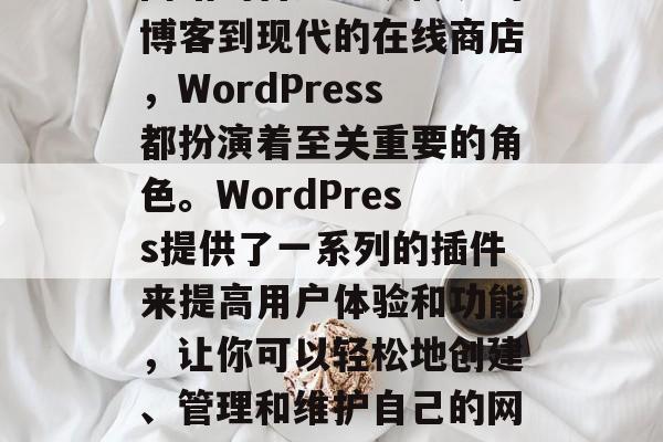 在互联网世界中，WordPress是很多网站的首选。从传统的博客到现代的在线商店，WordPress都扮演着至关重要的角色。WordPress提供了一系列的插件来提高用户体验和功能，让你可以轻松地创建、管理和维护自己的网站。，WordPress，优化您的在线商店的利器！