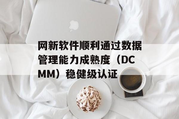 网新软件顺利通过数据管理能力成熟度（DCMM）稳健级认证