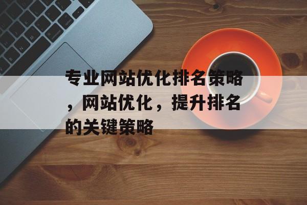 专业网站优化排名策略，网站优化，提升排名的关键策略