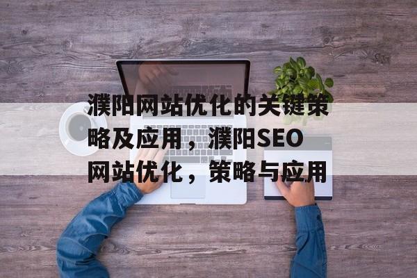 濮阳网站优化的关键策略及应用，濮阳SEO网站优化，策略与应用