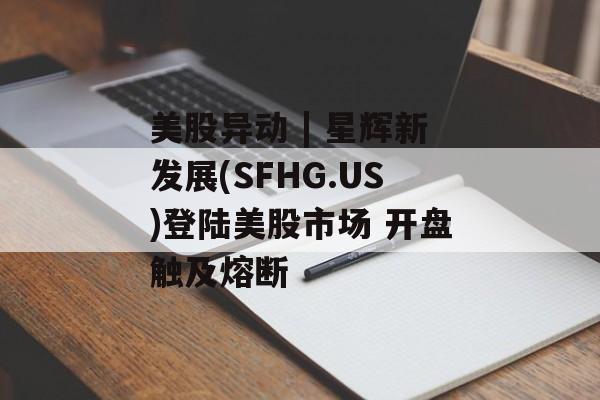 美股异动 | 星辉新发展(SFHG.US)登陆美股市场 开盘触及熔断