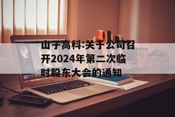 山子高科:关于公司召开2024年第二次临时股东大会的通知