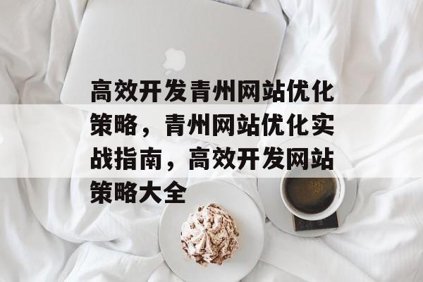 高效开发青州网站优化策略，青州网站优化实战指南，高效开发网站策略大全