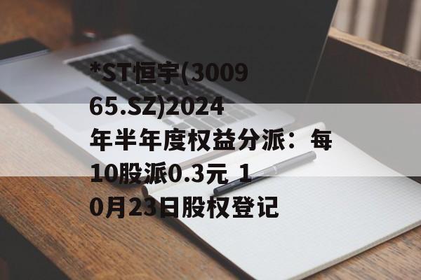 *ST恒宇(300965.SZ)2024年半年度权益分派：每10股派0.3元 10月23日股权登记