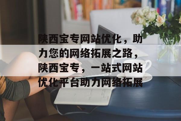 陕西宝专网站优化，助力您的网络拓展之路，陕西宝专，一站式网站优化平台助力网络拓展