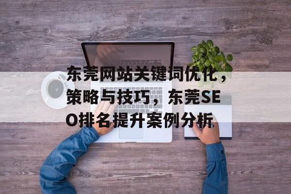 东莞网站关键词优化，策略与技巧，东莞SEO排名提升案例分析