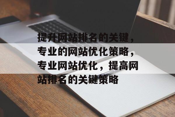 提升网站排名的关键，专业的网站优化策略，专业网站优化，提高网站排名的关键策略