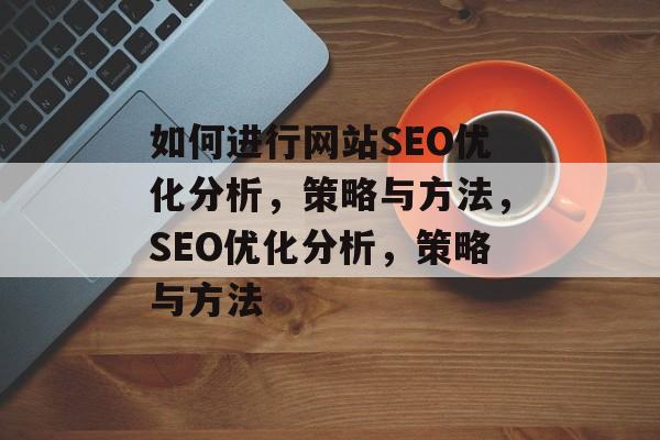 如何进行网站SEO优化分析，策略与方法，SEO优化分析，策略与方法