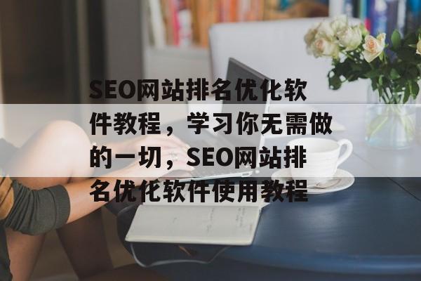 SEO网站排名优化软件教程，学习你无需做的一切，SEO网站排名优化软件使用教程