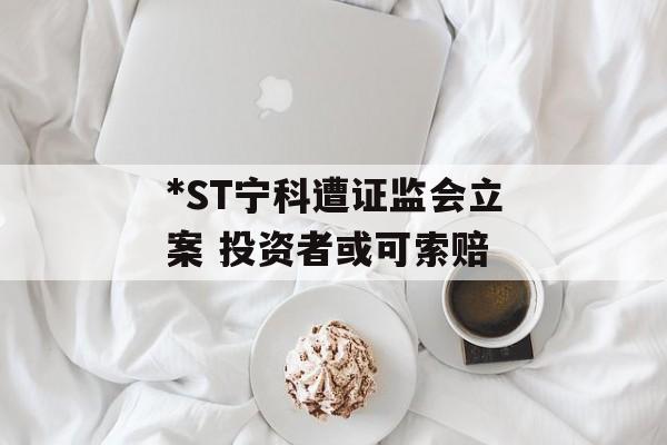 *ST宁科遭证监会立案 投资者或可索赔