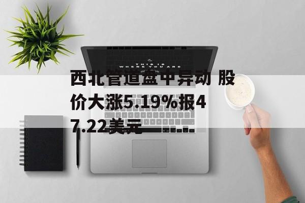 西北管道盘中异动 股价大涨5.19%报47.22美元