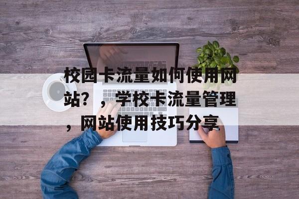 校园卡流量如何使用网站？，学校卡流量管理，网站使用技巧分享