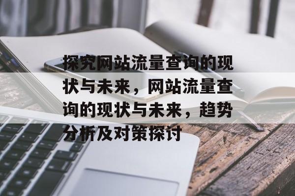 探究网站流量查询的现状与未来，网站流量查询的现状与未来，趋势分析及对策探讨