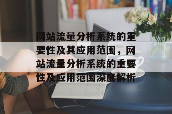 网站流量分析系统的重要性及其应用范围，网站流量分析系统的重要性及应用范围深度解析