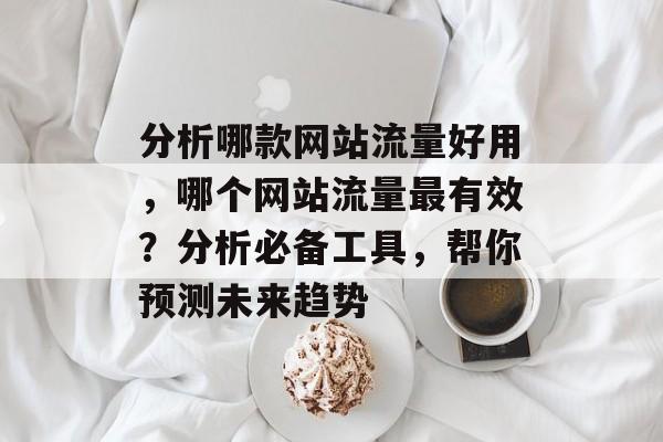 分析哪款网站流量好用，哪个网站流量最有效？分析必备工具，帮你预测未来趋势