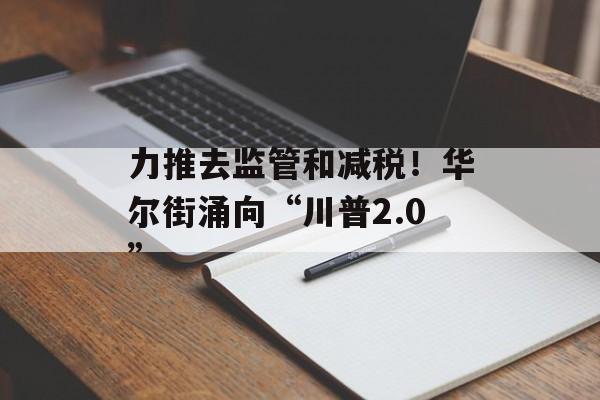 力推去监管和减税！华尔街涌向“川普2.0”