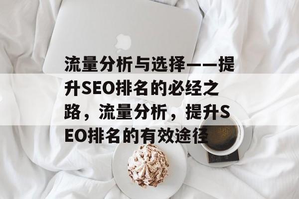 流量分析与选择——提升SEO排名的必经之路，流量分析，提升SEO排名的有效途径