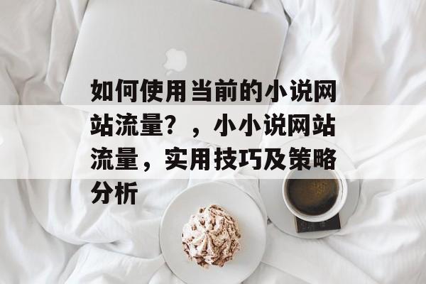 如何使用当前的小说网站流量？，小小说网站流量，实用技巧及策略分析