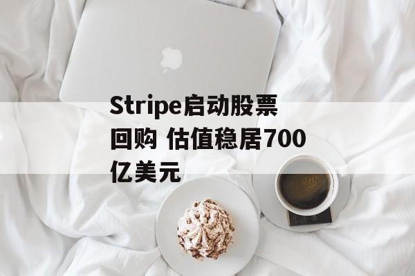 Stripe启动股票回购 估值稳居700亿美元