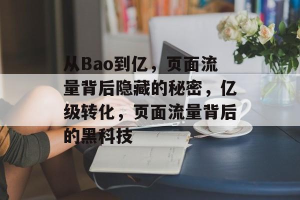 从Bao到亿，页面流量背后隐藏的秘密，亿级转化，页面流量背后的黑科技