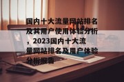 国内十大流量网站排名及其用户使用体验分析，2023国内十大流量网站排名及用户体验分析报告，2023年国内十大流量网站排名与用户体验分析报告