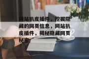 网站扒皮插件，挖掘隐藏的网页信息，网站扒皮插件，揭秘隐藏网页秘密，网站扒皮，挖掘网页的秘密信息